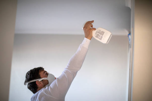  Bluffton, OH Mold Removal Pros