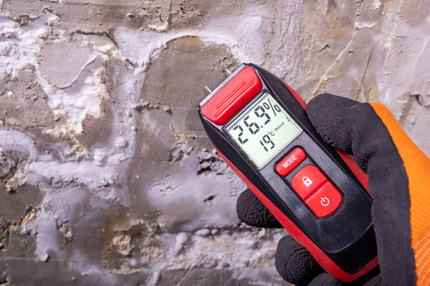 Professional Mold Remediation in Bluffton, OH