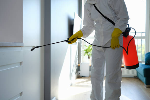 Best Bathroom Mold Remediation in Bluffton, OH